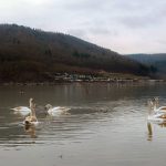 Warten auf die Sonne an einem trüben …