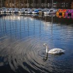 Grüße vom Edersee/Rehbach …